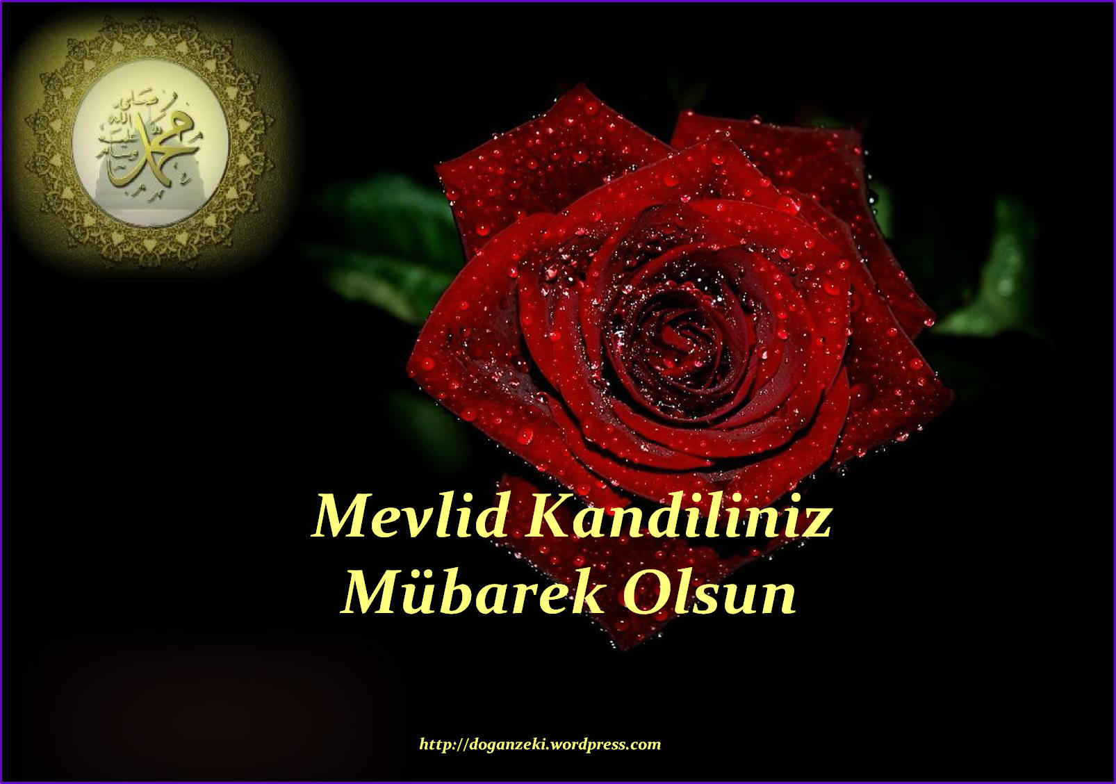 Mevlid Kandiliniz Kutlu Olsun